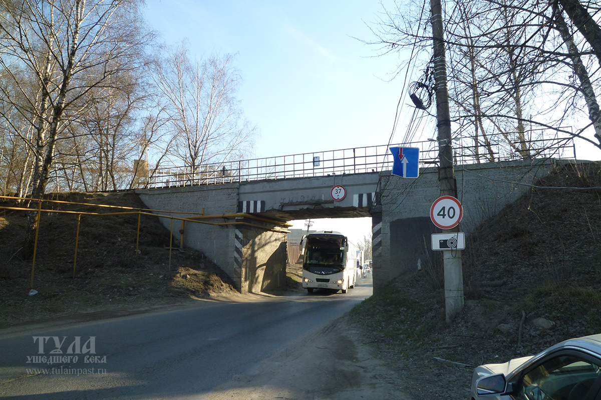 Вид моста со стороны Венева. Март 2020 года